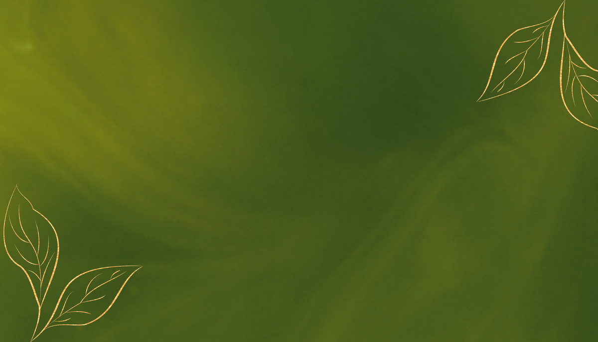 Bildschirmfoto 2026-01-28 um 10.37.34