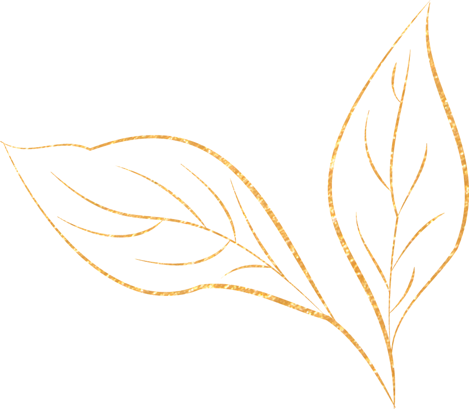 blatt-klein-0cmshha5jah7vtg